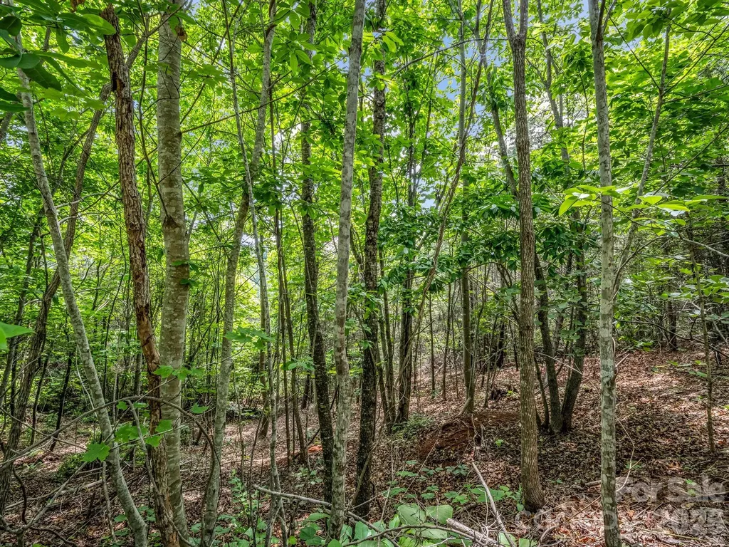 0 Sandpiper Avenue Lake Lure NC 28746