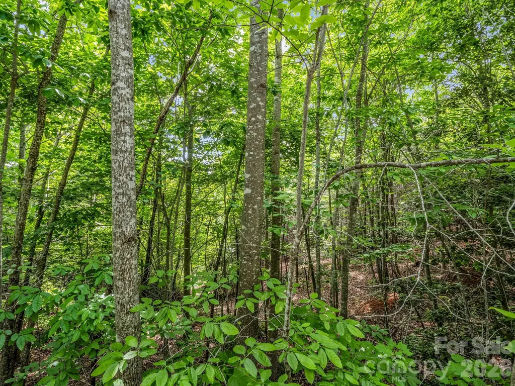 0 Sandpiper Avenue Lake Lure NC 28746
