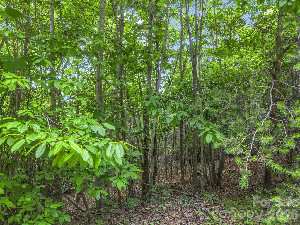 0 Sandpiper Avenue Lake Lure NC 28746