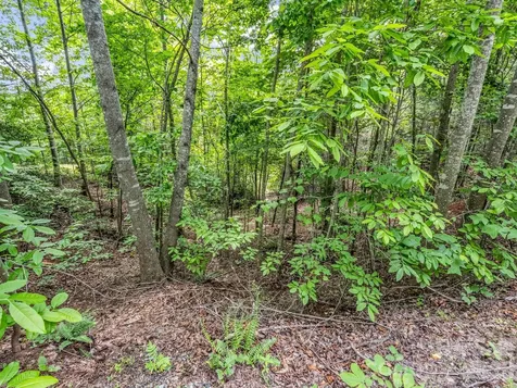 0 Sandpiper Avenue Lake Lure NC 28746