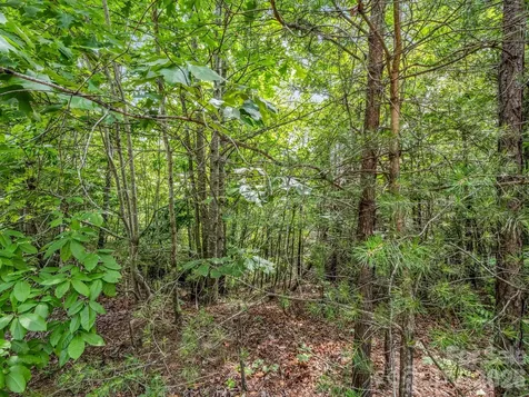 0 Sandpiper Avenue Lake Lure NC 28746
