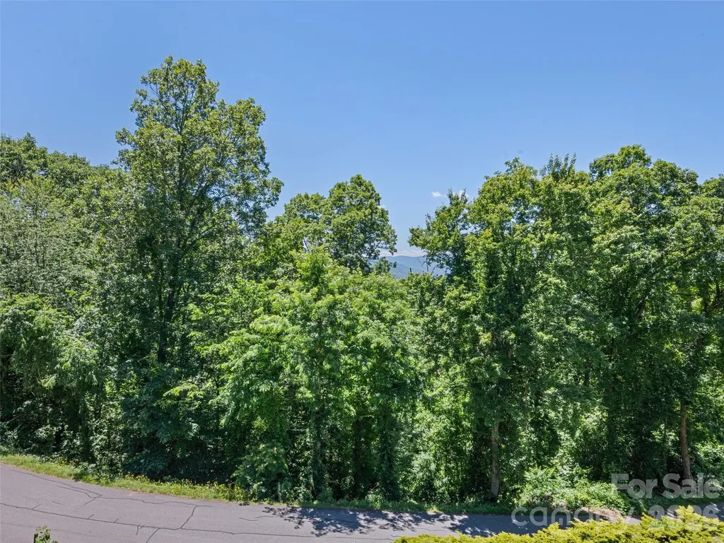 283 Blake Drive Canton NC 28716