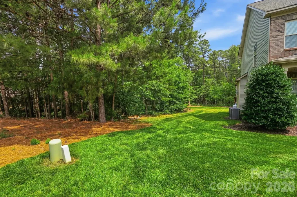 113 Delancy Street Locust NC 28097