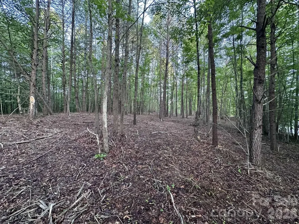 0 Howard Arnett Road Lenoir NC 28645