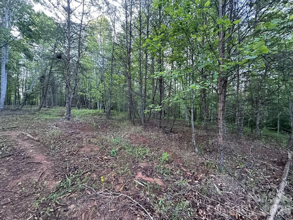 0 Howard Arnett Road Lenoir NC 28645