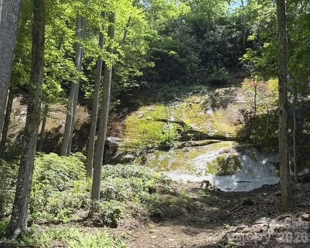 212 Estate Drive Hendersonville NC 28739