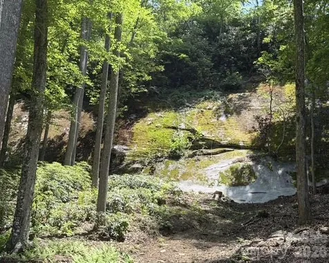 212 Estate Drive Hendersonville NC 28739