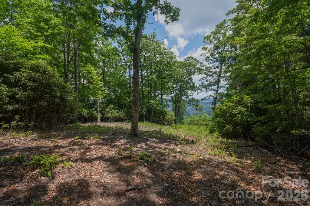 Tbd Reserve Road Pisgah Forest NC 28768