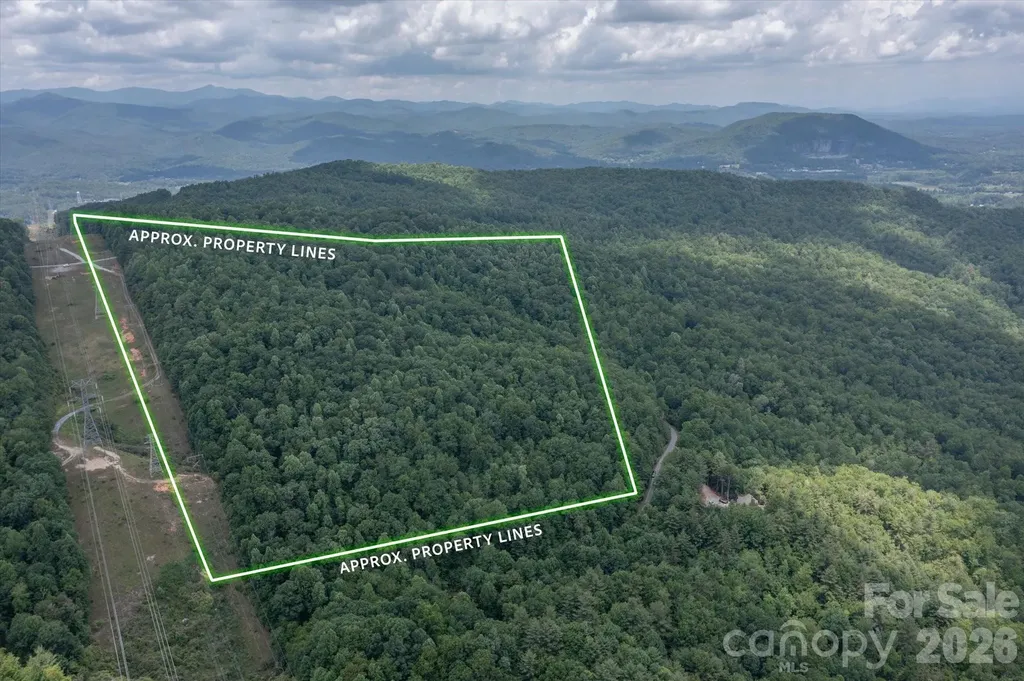 Tbd Reserve Road Pisgah Forest NC 28768