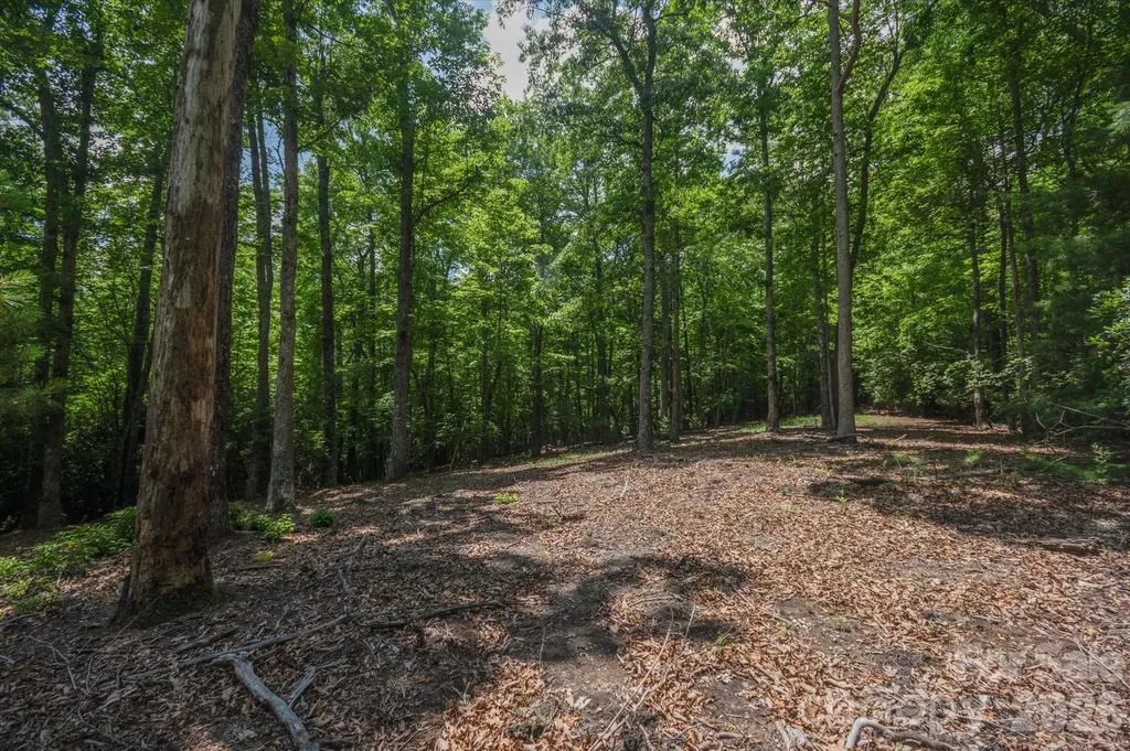Tbd Reserve Road Pisgah Forest NC 28768