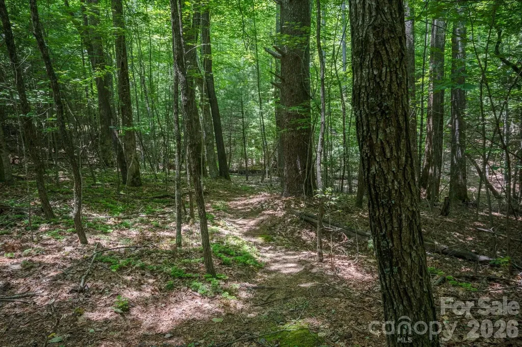 Tbd Reserve Road Pisgah Forest NC 28768