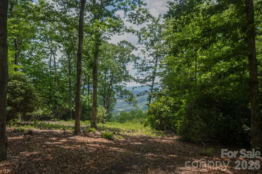 Tbd Reserve Road Pisgah Forest NC 28768