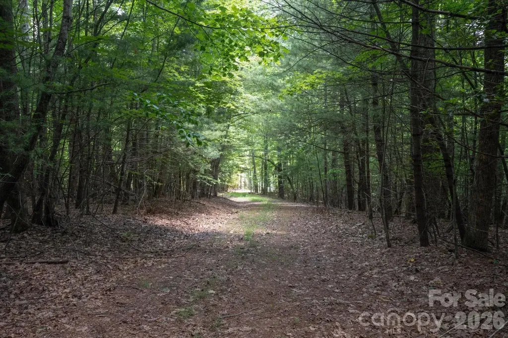 Tbd Reserve Road Pisgah Forest NC 28768