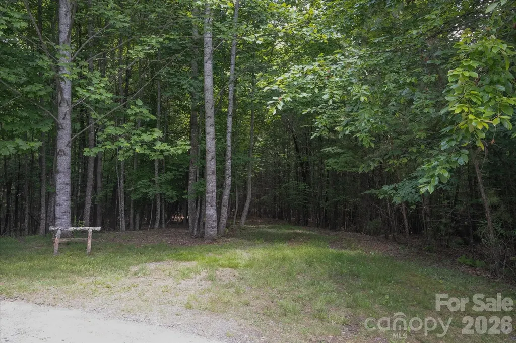 Tbd Reserve Road Pisgah Forest NC 28768