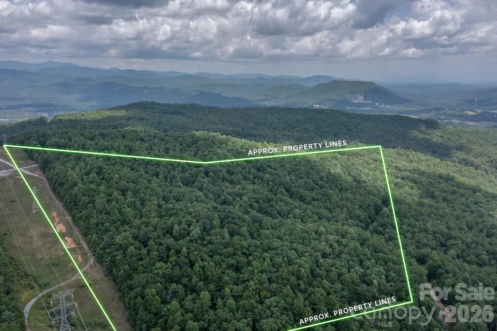 Tbd Reserve Road Pisgah Forest NC 28768