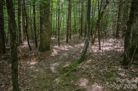 Tbd Reserve Road Pisgah Forest NC 28768