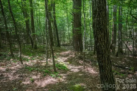 Tbd Reserve Road Pisgah Forest NC 28768