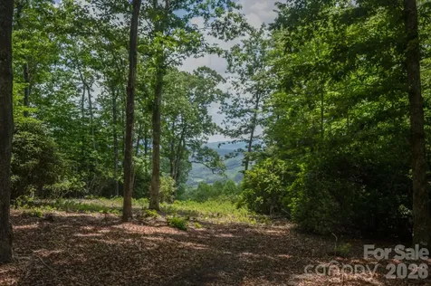 Tbd Reserve Road Pisgah Forest NC 28768