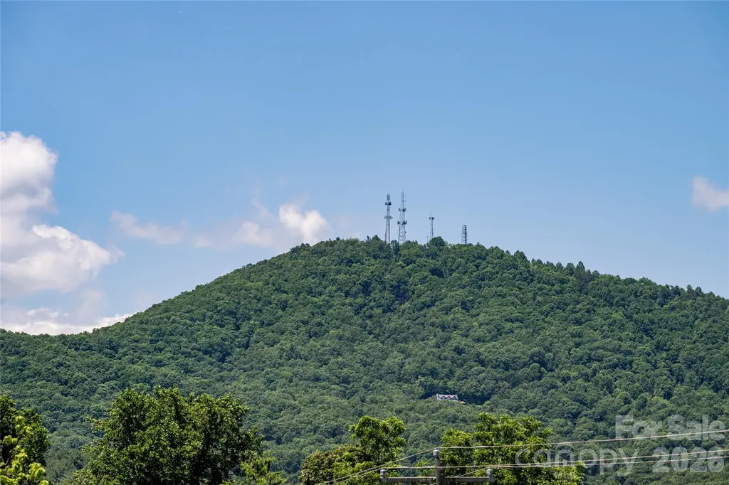 339 Hi Alta Avenue Asheville NC 28806