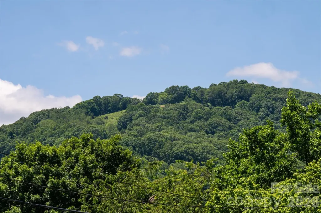 339 Hi Alta Avenue Asheville NC 28806