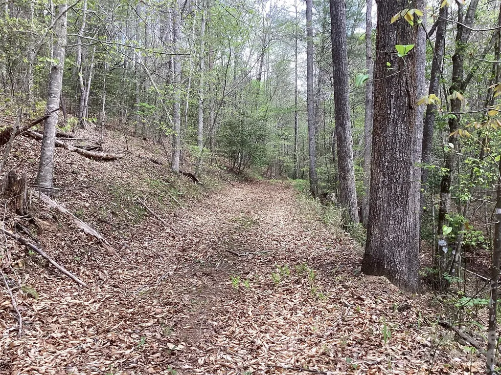 5060 Tallent Hill Lane Morganton NC 28655