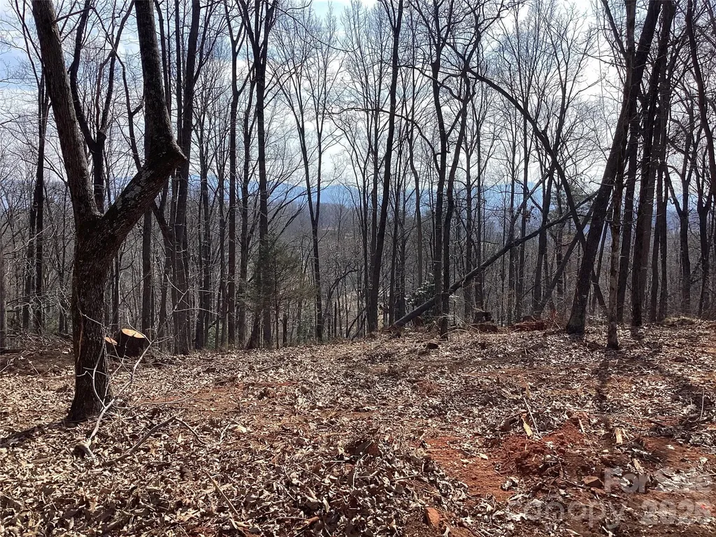 5060 Tallent Hill Lane Morganton NC 28655