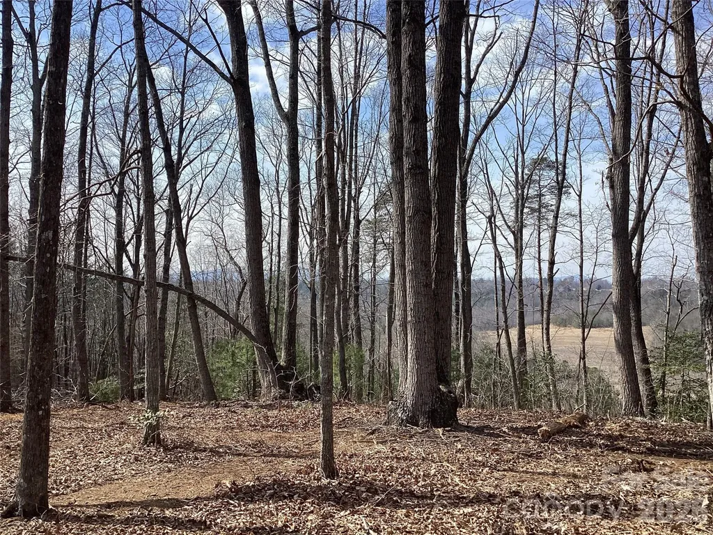 5060 Tallent Hill Lane Morganton NC 28655