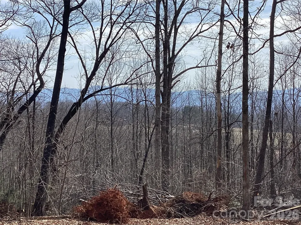 5060 Tallent Hill Lane Morganton NC 28655