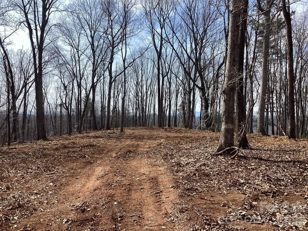 5060 Tallent Hill Lane Morganton NC 28655