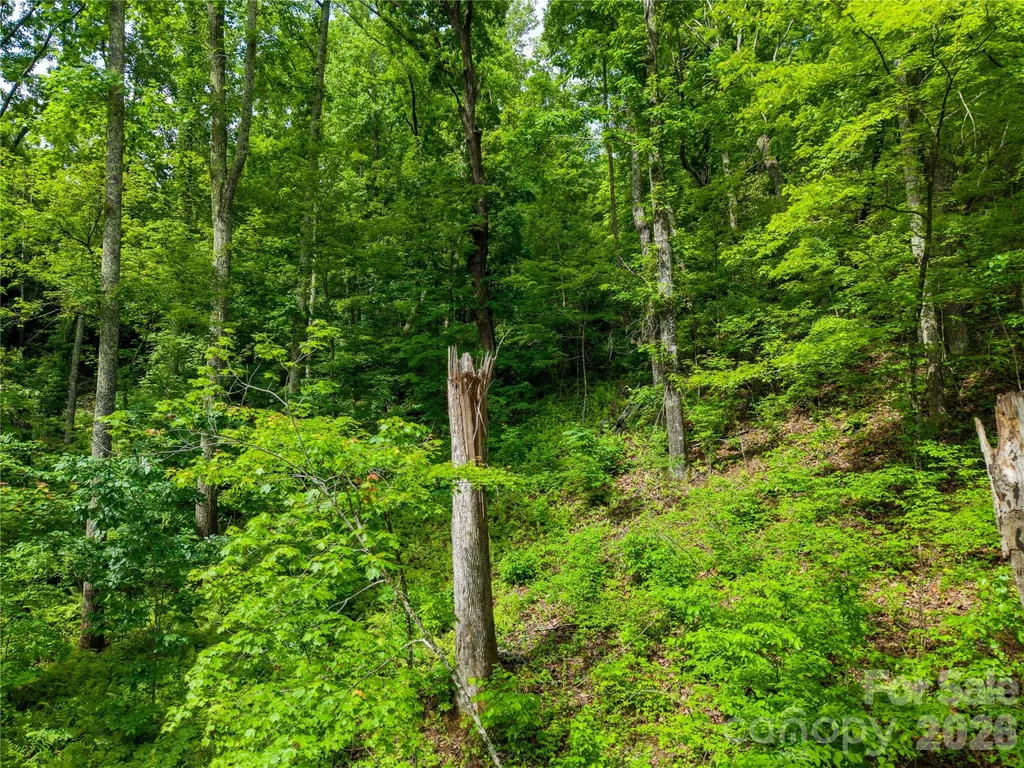 334 Carriage Crest Drive Hendersonville NC 28791