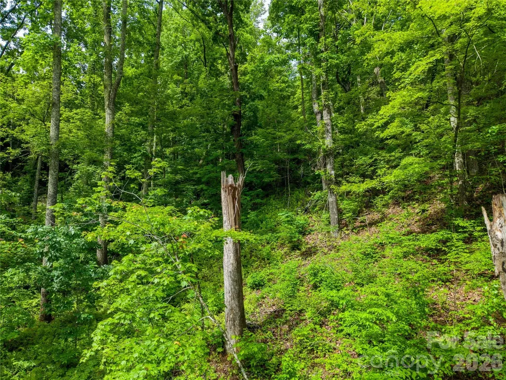 334 Carriage Crest Drive Hendersonville NC 28791