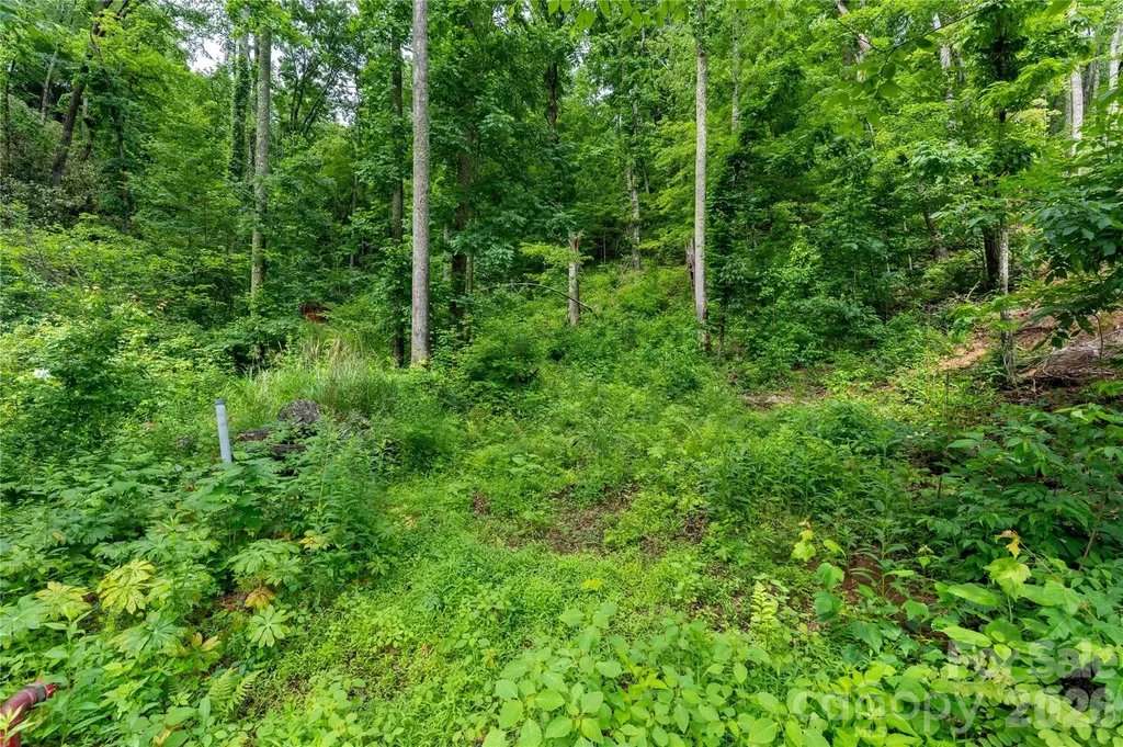 334 Carriage Crest Drive Hendersonville NC 28791