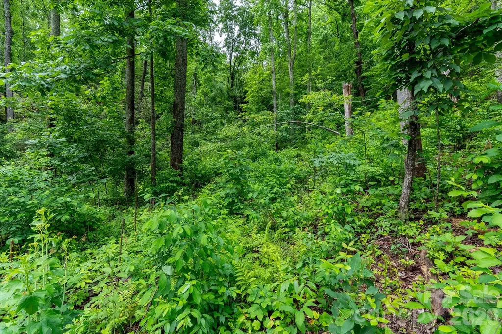 334 Carriage Crest Drive Hendersonville NC 28791