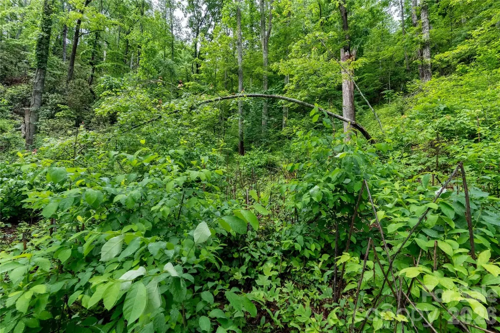 334 Carriage Crest Drive Hendersonville NC 28791