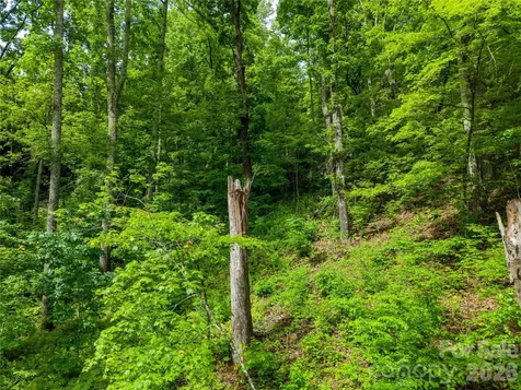 334 Carriage Crest Drive Hendersonville NC 28791