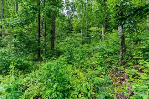 334 Carriage Crest Drive Hendersonville NC 28791