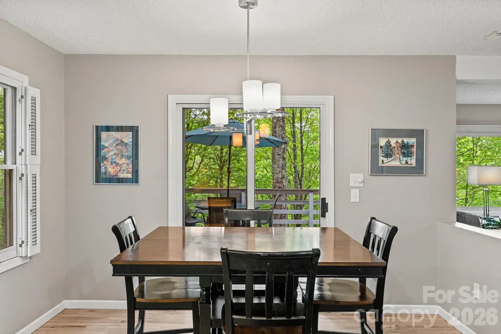 58 Sourwood Drive Mills River NC 28759