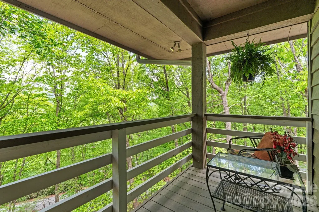 58 Sourwood Drive Mills River NC 28759