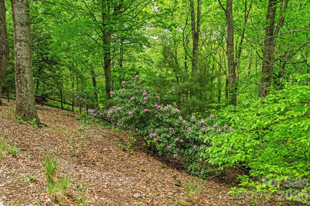 58 Sourwood Drive Mills River NC 28759