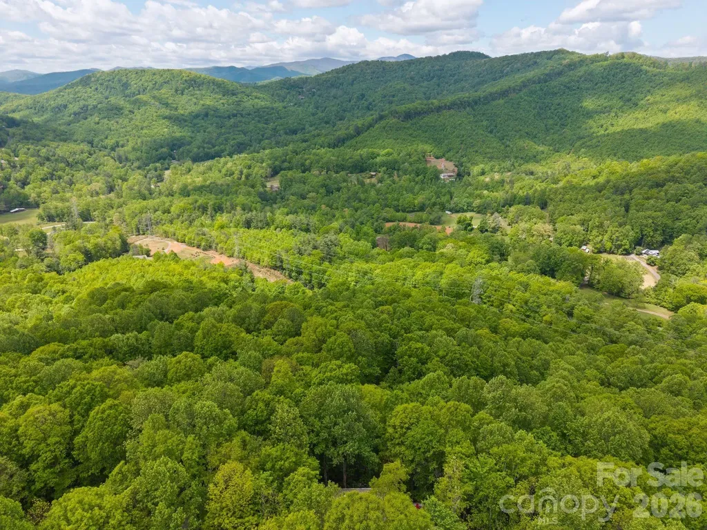 58 Sourwood Drive Mills River NC 28759