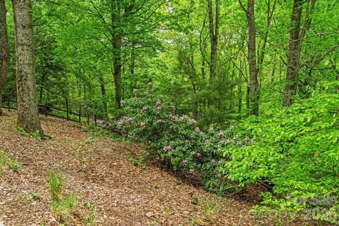 58 Sourwood Drive Mills River NC 28759