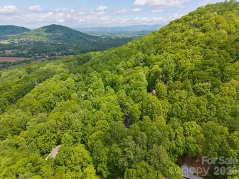 58 Sourwood Drive Mills River NC 28759