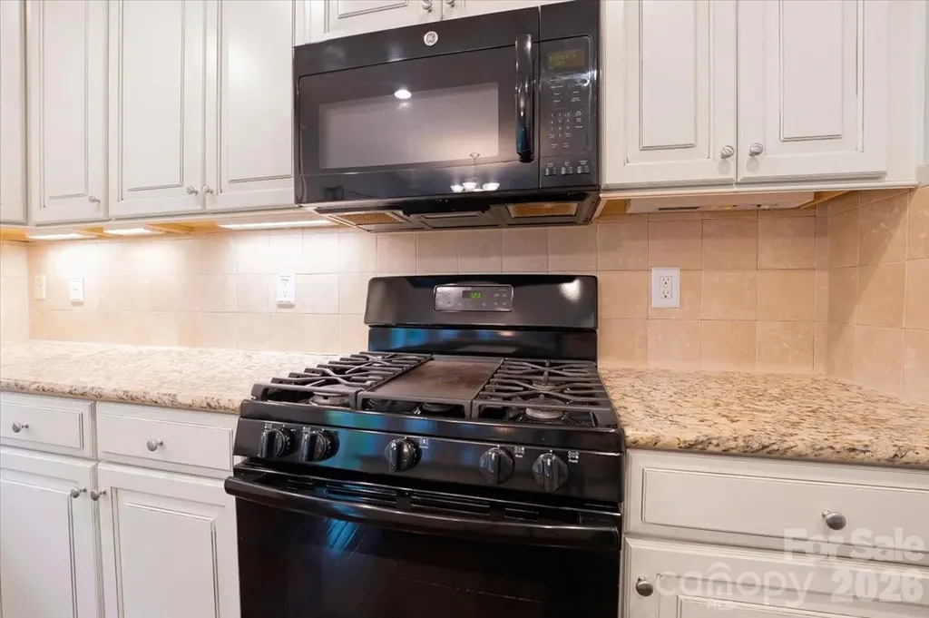 278 Almora Loop Mooresville NC 28115