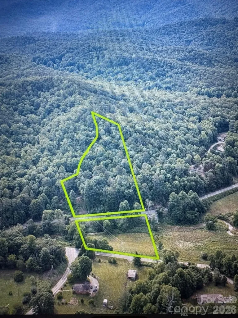 4733 Bat Cave Road Old Fort NC 28762