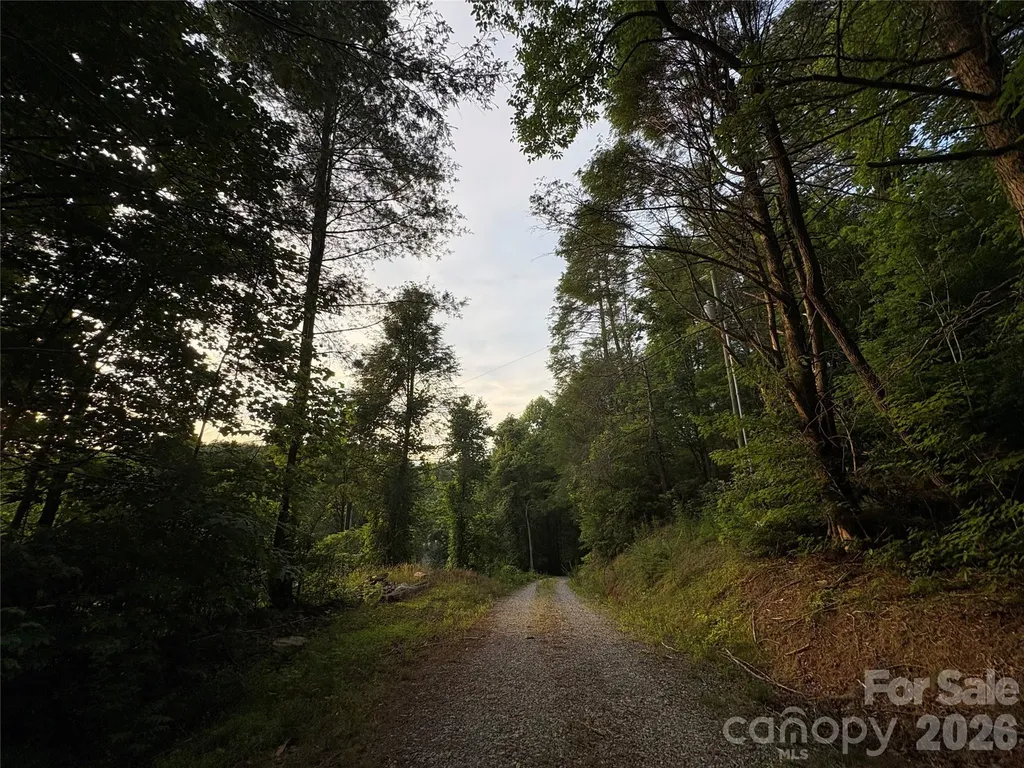 4733 Bat Cave Road Old Fort NC 28762