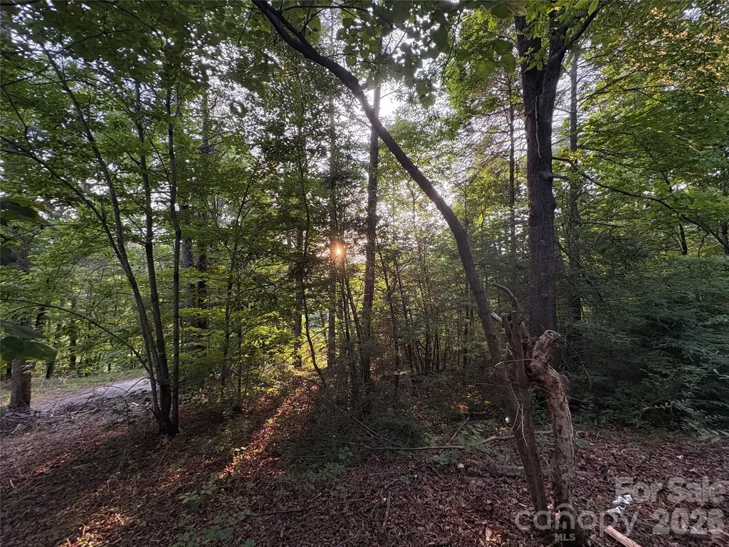 4733 Bat Cave Road Old Fort NC 28762