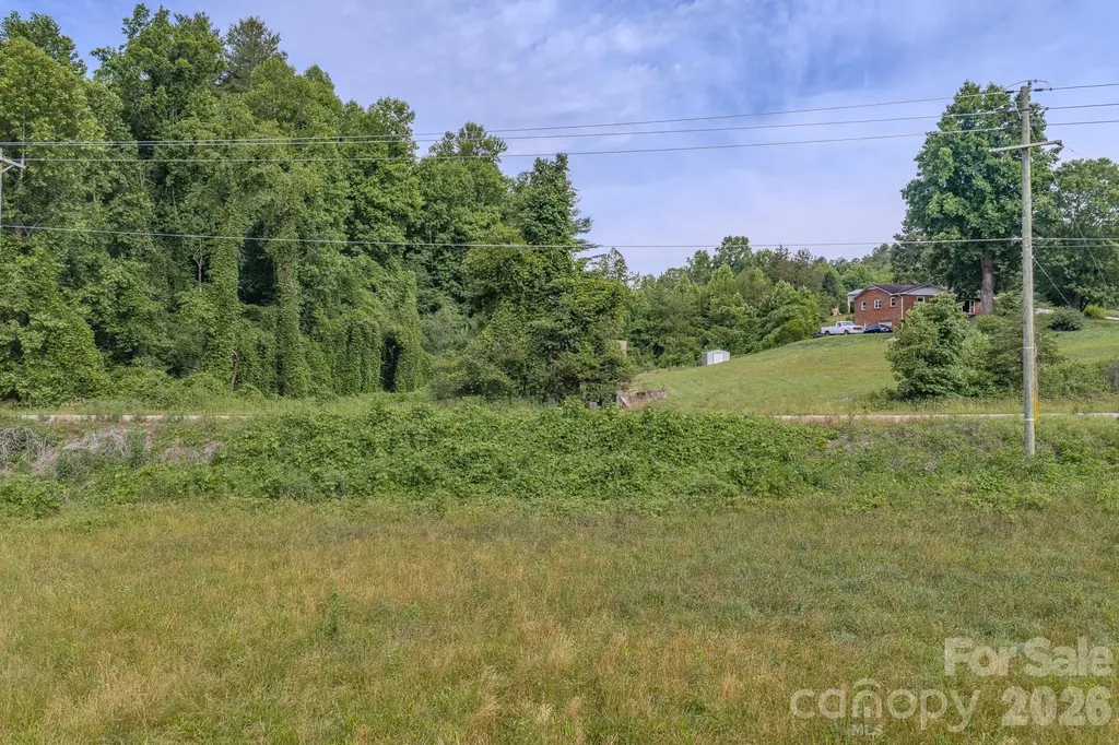 4733 Bat Cave Road Old Fort NC 28762