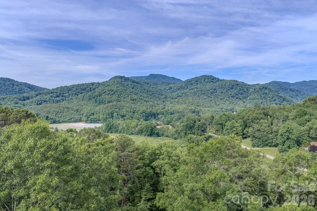 4733 Bat Cave Road Old Fort NC 28762