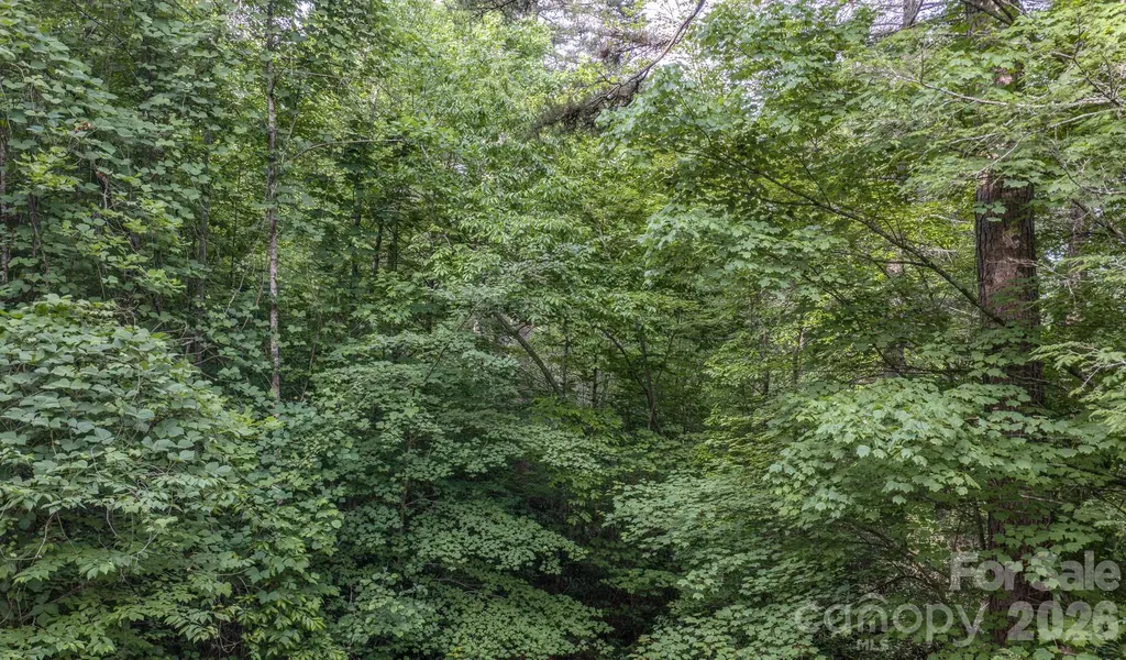 4733 Bat Cave Road Old Fort NC 28762