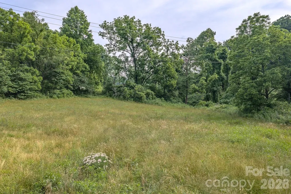 4733 Bat Cave Road Old Fort NC 28762